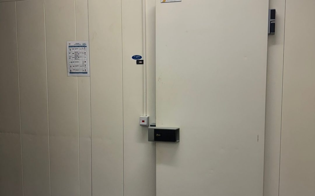 Kühl- / Gefrierzelle zum Selbstabbau in 90574 Roßtal