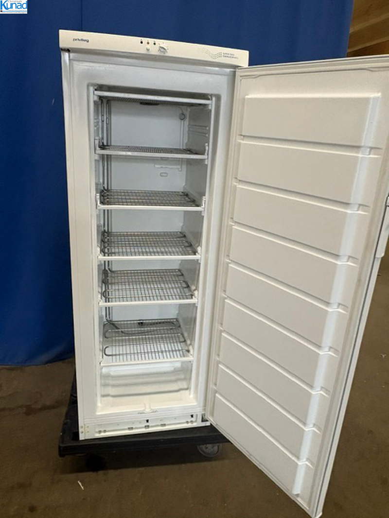 Gefrierschrank Tiefkühlschrank 60x55x160 cm