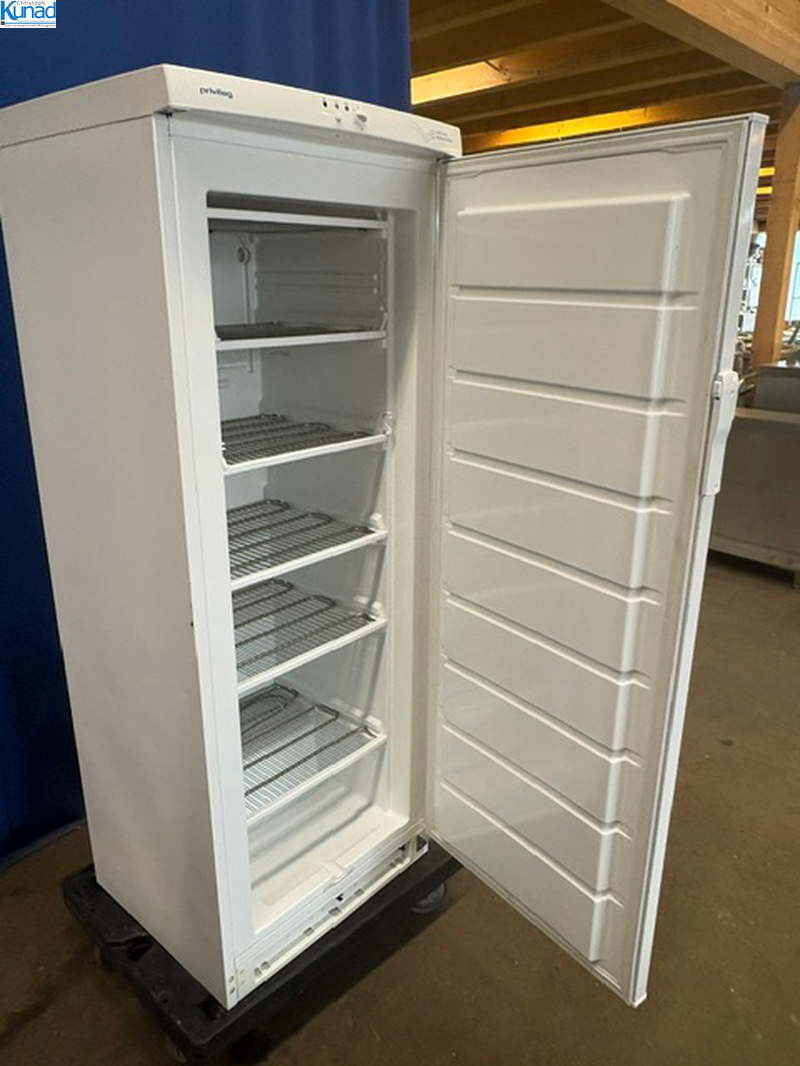 Gefrierschrank Tiefkühlschrank 60x55x160 cm – Bild 2