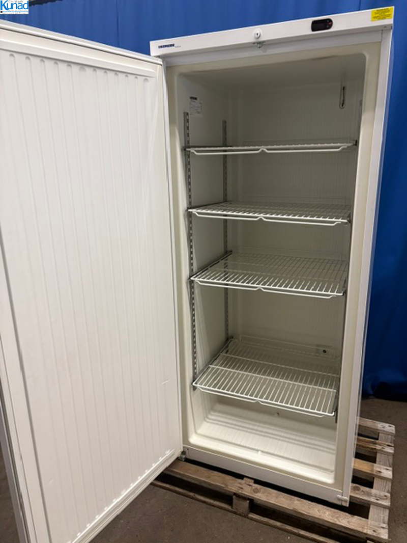 Gefrierschrank LIEBHERR 82x74x187 cm Tiefkühlschrank für Eurokisten geeignet – Bild 7