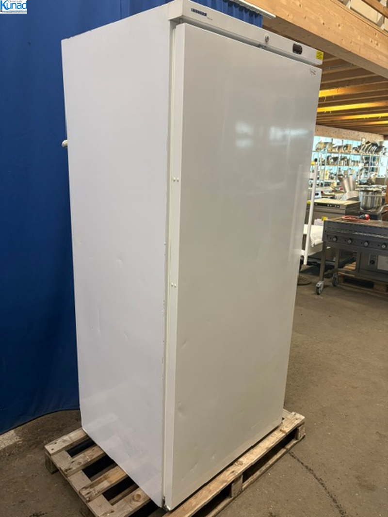 Gefrierschrank LIEBHERR 82x74x187 cm Tiefkühlschrank für Eurokisten geeignet – Bild 5