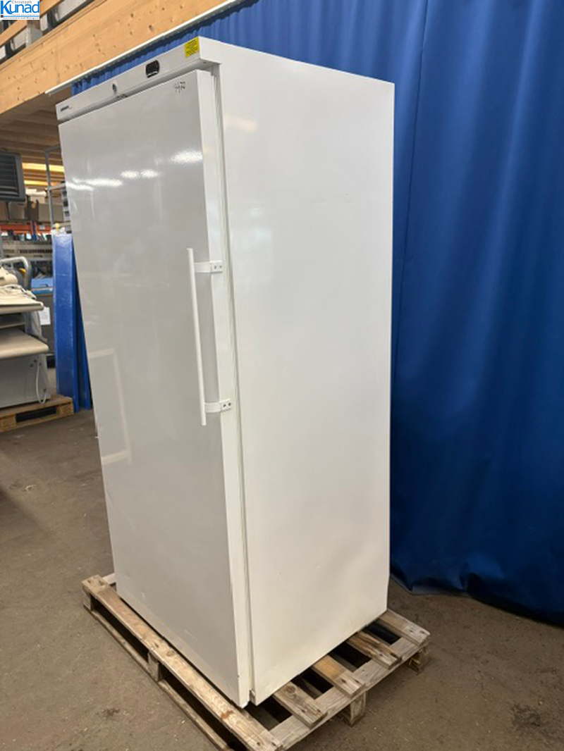 Gefrierschrank LIEBHERR 82x74x187 cm Tiefkühlschrank für Eurokisten geeignet – Bild 4