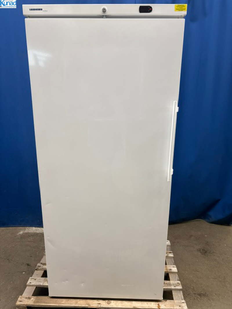 Gefrierschrank LIEBHERR 82x74x187 cm Tiefkühlschrank für Eurokisten geeignet – Bild 3